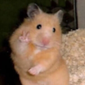 Meet your Posher, Yj